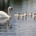 Bird watching and Hiking Trails .