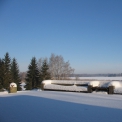 Loodus