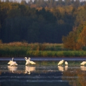 Bird watching and Hiking Trails .